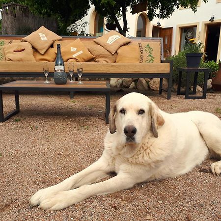 Cal Pau Cruset Vendégház Torrelles de Foix Kültér fotó